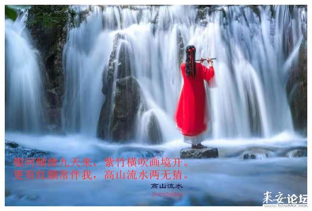 寻找神秘黄金